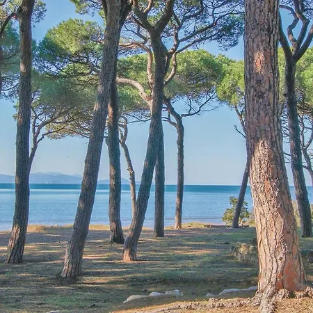 Stella Marina דירה פונטונה די סקרלינו